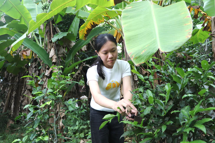 Yến Như vượt khó , mơ ước tại Đại học Bách khoa Đà Nẵng trong hoàn cảnh khó khăn 2026 - Ảnh 6.