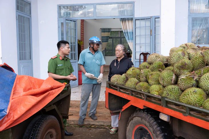 Bắt thanh niên từ Hải Phòng nhiều lần trộm sầu riêng của người dân Đắk Lắk - Ảnh 2.
