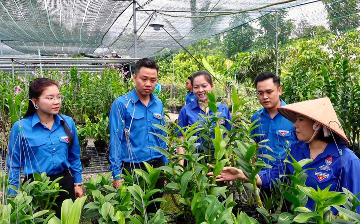 Sinh viên, thanh niên TP.HCM săn việc, tìm cơ hội thực tập và lập nghiệp - Ảnh 3.