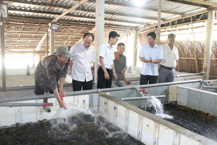 Giá lươn nhích lên, người nuôi vẫn đối mặt áp lực tiền tỉ - Ảnh 2.