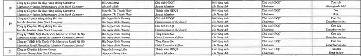 Con dâu Chủ tịch Techcombank làm Chủ tịch Hàng không Hải Âu - Ảnh 2.