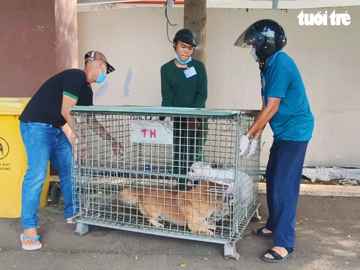 1 giờ ra quân, phường Đông Hòa bắt được 3 con chó thả rông - Ảnh 5.