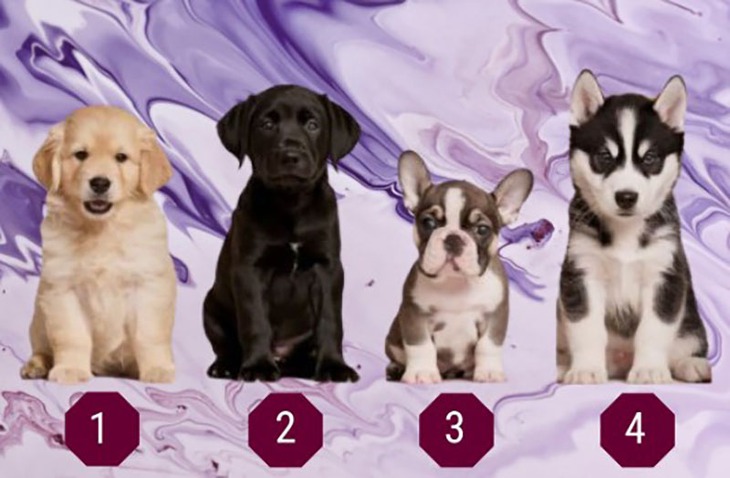 Quiz: Bạn có phải là người mơ mộng? - Ảnh 1.