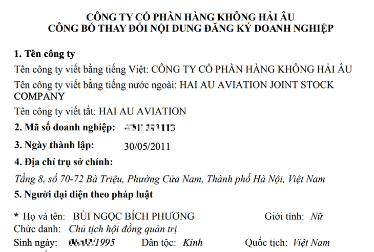 Con dâu Chủ tịch Techcombank làm Chủ tịch Hàng không Hải Âu - Ảnh 3.