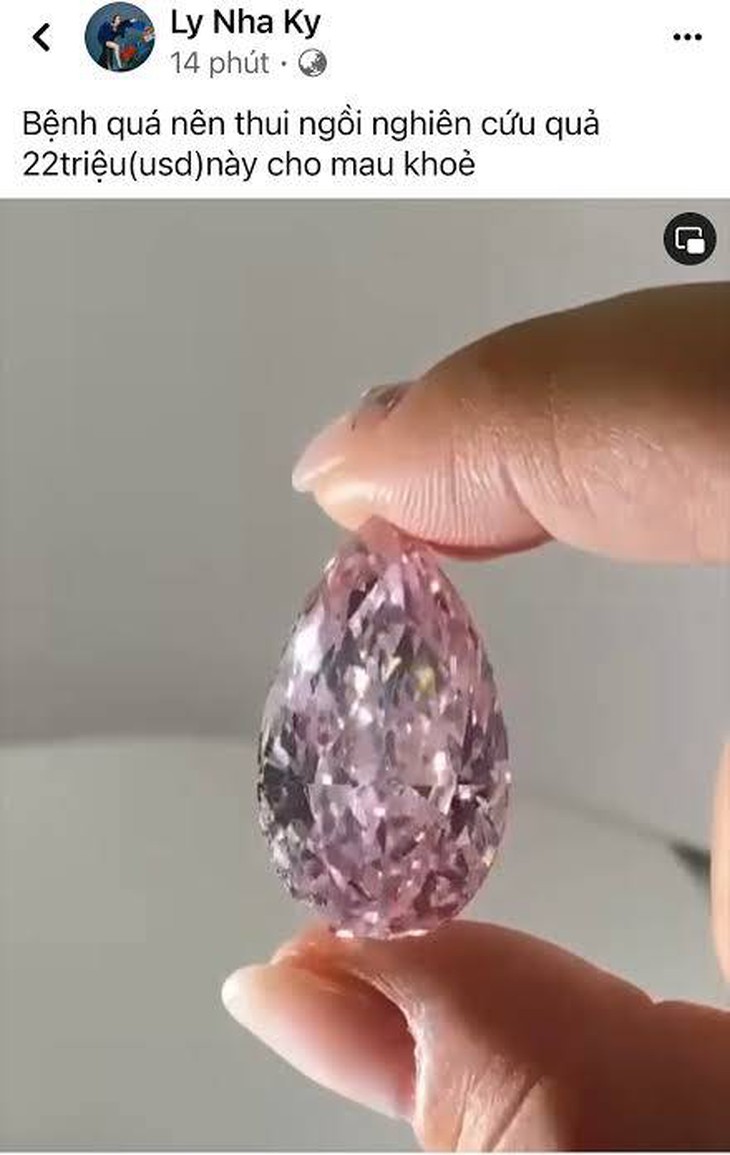 Lý Nhã Kỳ từng khoe có hai viên kim cương giá 1.500 tỉ - Ảnh 3.
