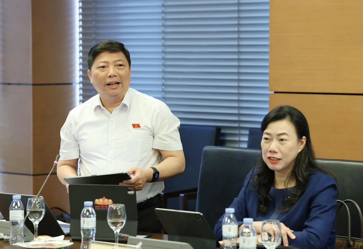 Đại biểu Quốc hội: Quy định thẩm định chặt hơn để tránh sự việc sai sót về xuất bản - Ảnh 2.
