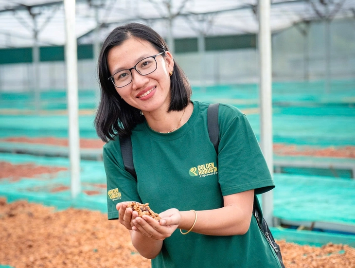 Bỏ
phố về lại vườn vì tình yêu với hạt cà phê - Ảnh
6.