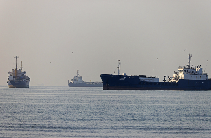  Iran sẽ kiểm soát tàu vào vịnh Ba Tư qua Hormuz theo thỏa thuận với Oman - Ảnh 1.