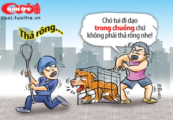 Chó thả rông - Ảnh 2.