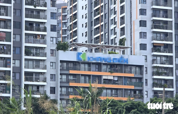- Ảnh 3.