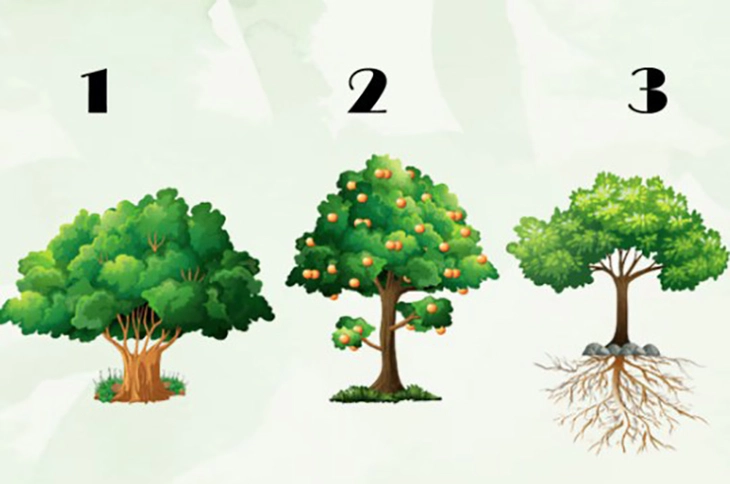 Quiz: Bạn là người rất tự tin? - Ảnh 1.