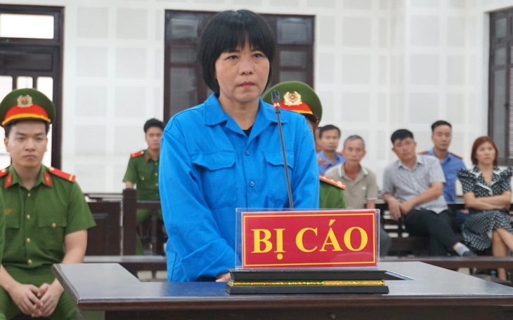 Vụ mẹ giết con để chiếm đoạt 4,1 tỉ đồng tiền bảo hiểm: Lời khai về dòng tiền - Ảnh 2.