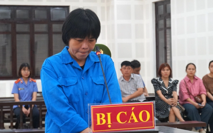 Mẹ giết con ruột để chiếm đoạt 4,1 tỉ tiền bảo hiểm: Tách điều tra vụ 1 người con khác tử vong - Ảnh 2.