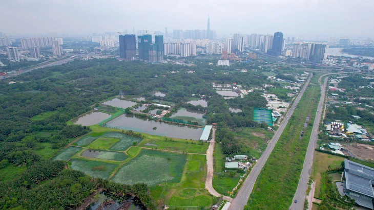 Tin tức sáng 11-8: TP.HCM dự kiến chỉ tiêu nghĩa vụ quân sự năm 2027 tăng 10% - Ảnh 4.