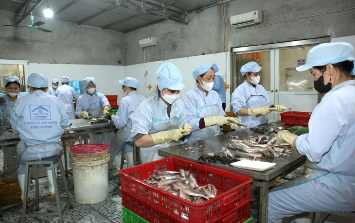 Đề xuất giảm 30% thuế cho doanh nghiệp nhỏ, hộ kinh doanh - Ảnh 2.