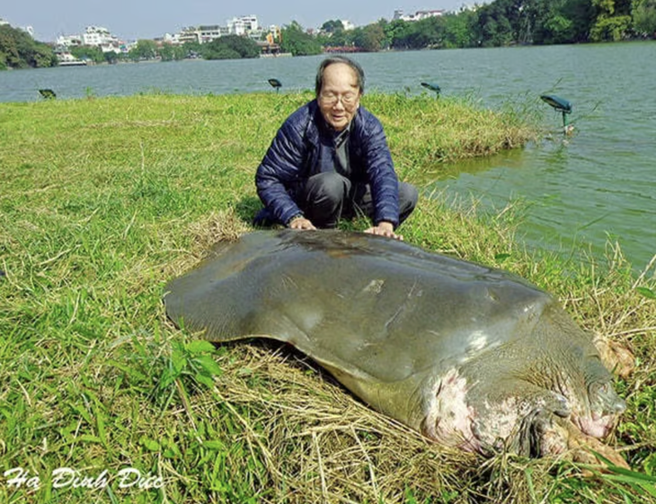 Nhà 'Rùa học' Hà Đình Đức qua đời: 'Bố đã sống một cuộc đời đáng sống' - Ảnh 1.