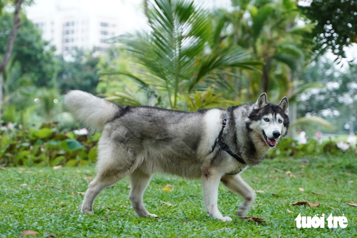 Vấn đề cần giải quyết ngay - Ảnh 1.