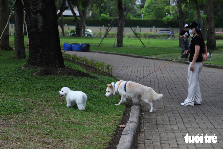 Vấn đề cần giải quyết ngay - Ảnh 4.