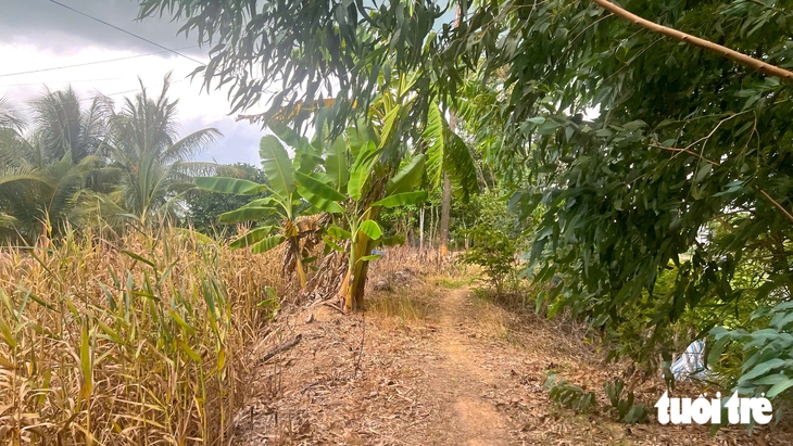 Hơn 15 năm, đường dân sinh ven kênh Đồng Tiến vẫn là đường đất - Ảnh 5.