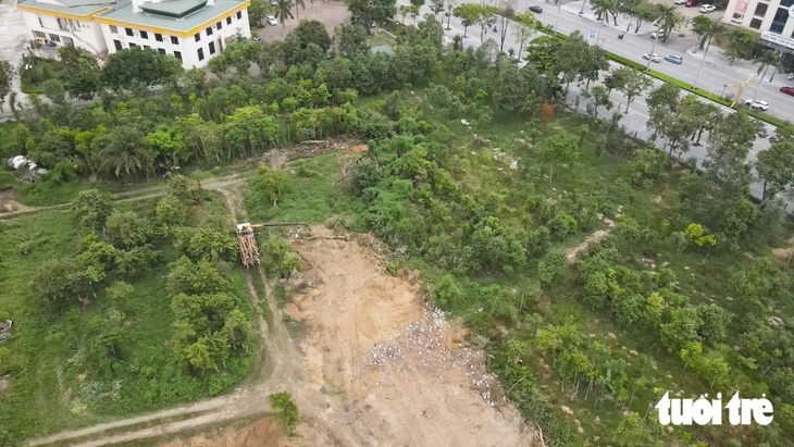 - Ảnh 9.