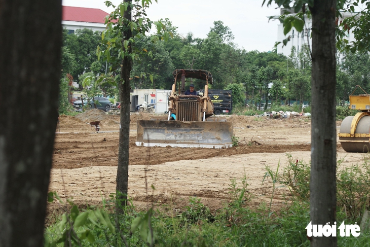- Ảnh 8.