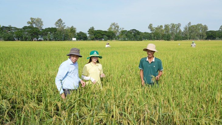 ‘Thức giấc với mùa vàng’ 2026 - Cùng nhà nông chuyển đổi và kết nối - Ảnh 1.
