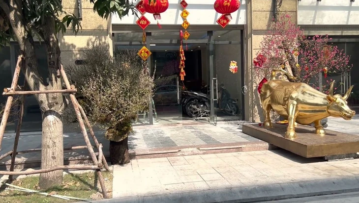 Huấn Hoa Hồng sở hữu căn nhà 'dát vàng' - Ảnh 1.