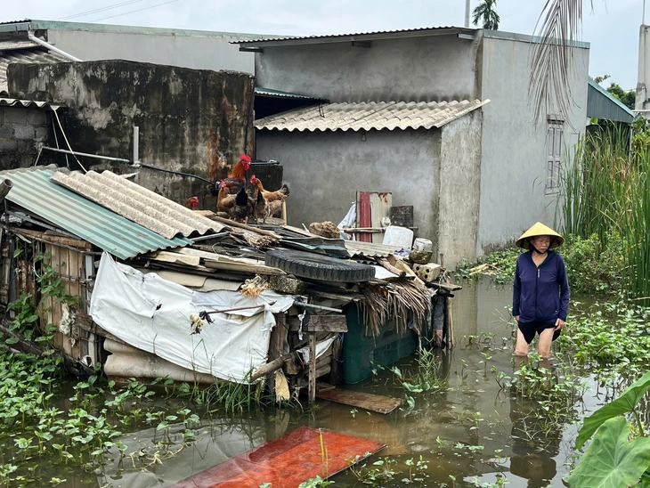 Xây dựng khu đô thị, hàng chục hộ dân ở Thanh Hóa bị ngập nước nhiều ngày - Ảnh 2.