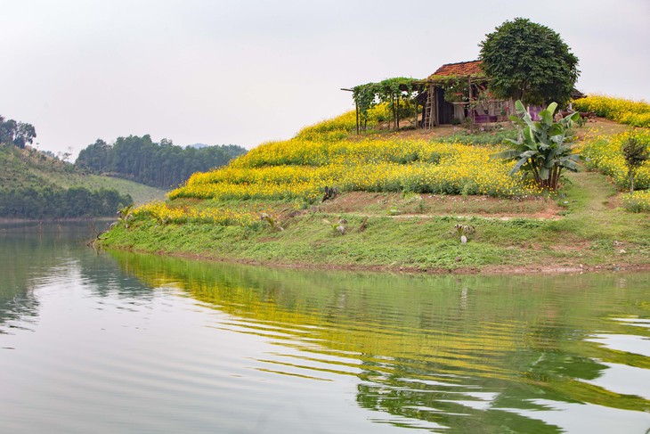 Hồ Núi Cốc - Ảnh 2.