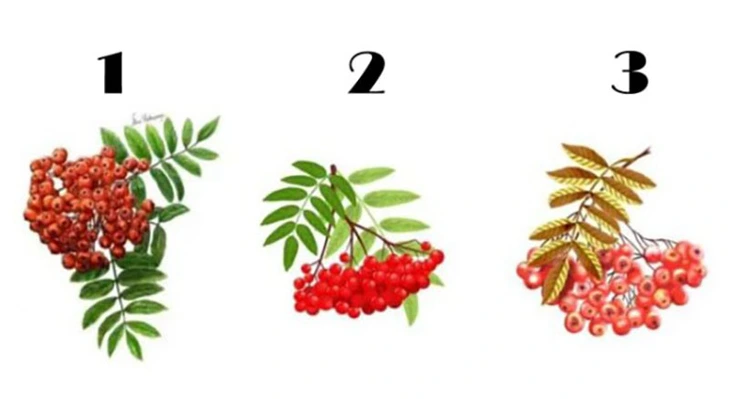 Quiz: Vũ trụ tặng bạn món quà gì? - Ảnh 1.
