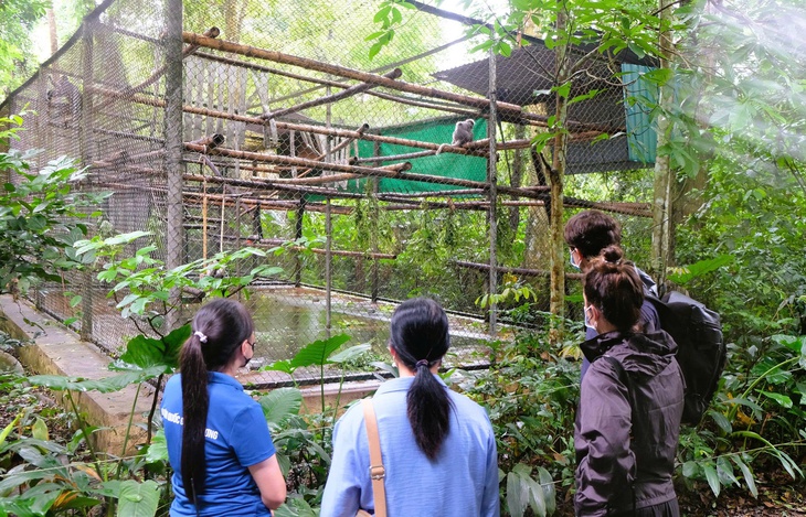 Những 'bảo mẫu' thầm lặng giữa rừng Cúc Phương - Ảnh 9.