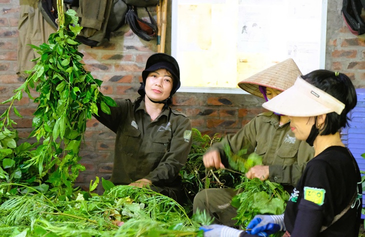 Những 'bảo mẫu' thầm lặng giữa rừng Cúc Phương - Ảnh 3.