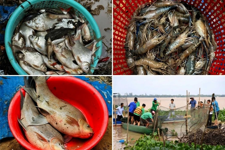 Xem nông dân Đồng Tháp dỡ chà bắt cá, học chụp ảnh, quay phim quảng bá du lịch - Ảnh 4.