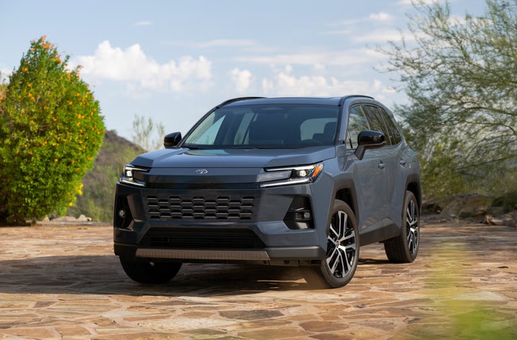 Toyota vẫn là 'vua doanh số', xe điện bán kỷ lục - Ảnh 3.