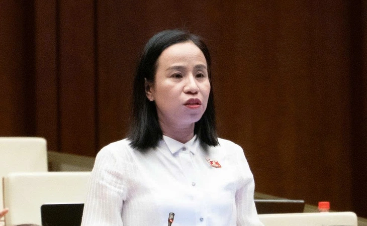 Từ hiện tượng 'giang hồ mạng', đại biểu Quốc hội hỏi về trách nhiệm các nền tảng, mạng xã hội - Ảnh 2.