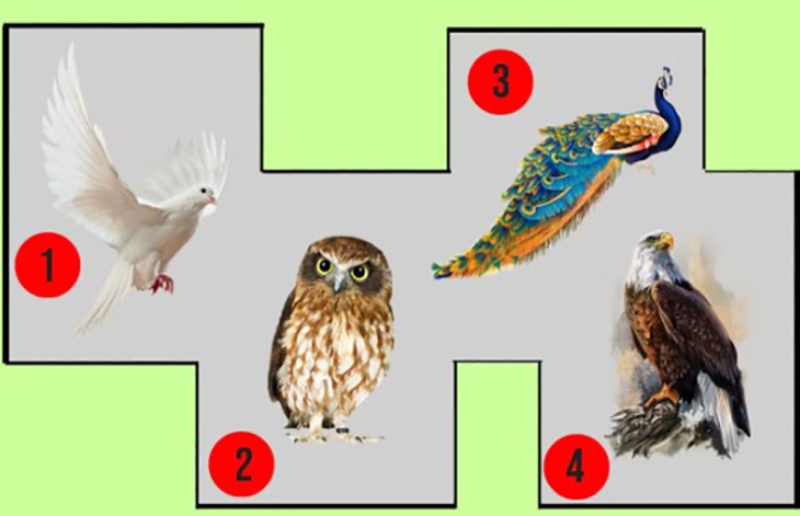Quiz: Bạn là người thông minh, lý trí? - Ảnh 1.