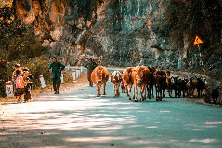 Từ công nhân làm thuê thành người kể chuyện du lịch Hà Giang sở hữu cộng đồng 2 triệu thành viên - Ảnh 1.
