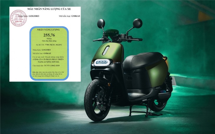 Xe máy điện đổi pin mới xuất hiện tại Việt Nam, có thể được lắp ráp trong nước - Ảnh 1.