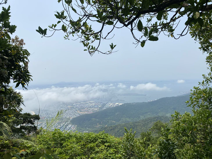 Sau tai nạn ở Mũi Nghê, Đà Nẵng nói gì về việc du khách mua tour trekking tự phát tại Sơn Trà - Ảnh 4.