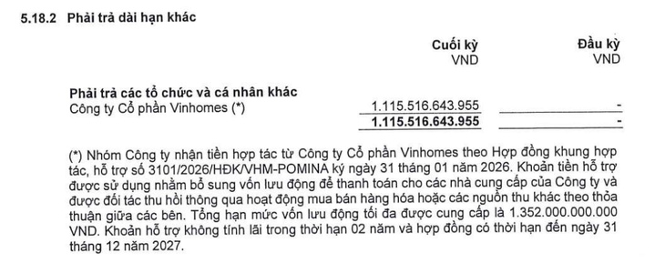 Được Vinhomes hỗ trợ hơn 1.100 tỉ, Pomina đang kinh doanh ra sao? - Ảnh 3.