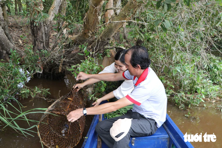 Mùa nước nổi về Tràm Chim dỡ chà, dỡ lợp, hái rau rừng, ăn cá linh - Ảnh 3.