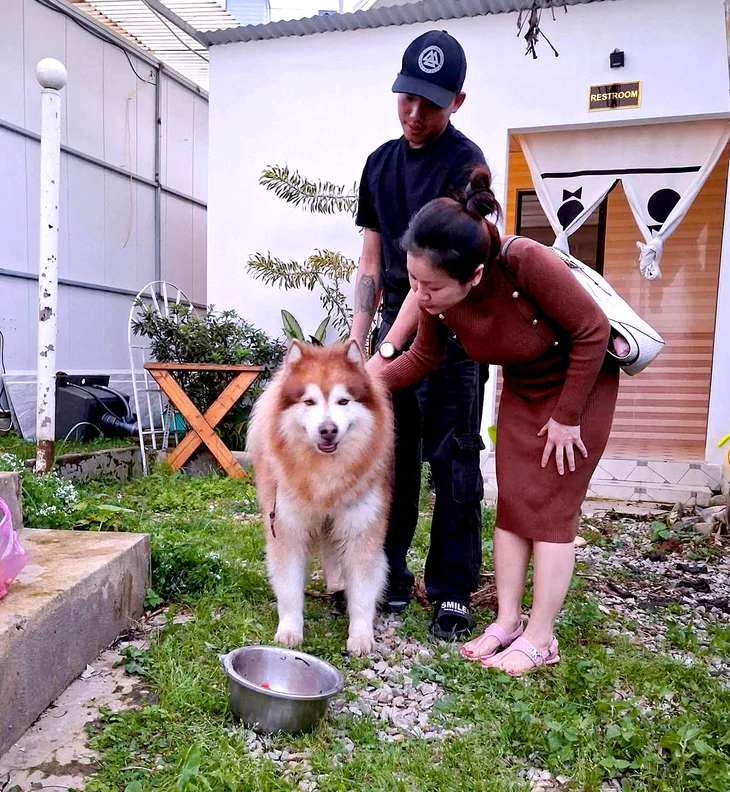 Con chó bị hành hạ ở Đà Lạt được 'giải cứu' - Ảnh 1.