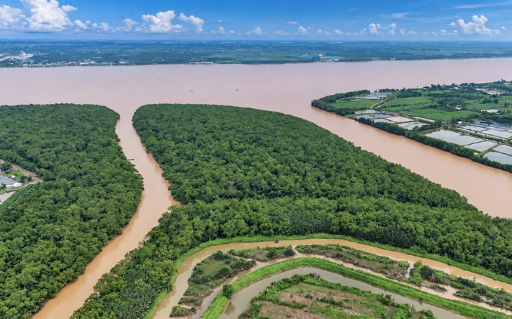 Cửa ngỏ dòng Mekong - Bài 1: Nơi dòng sông gặp biển  - Ảnh 7.