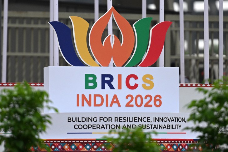 Những nhà lãnh đạo đáng chú ý tại thượng đỉnh BRICS ở Ấn Độ - Ảnh 1.