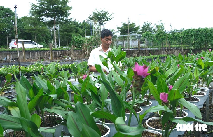 Kinh tế số giúp nông dân làng hoa 'xóa' tư duy mùa vụ  - Ảnh 3.