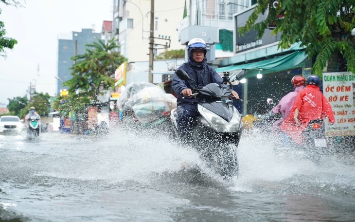 Triều cường miền Tây 2026 gây ngập lụt , nông dân khổ sở cứu lúa giữa đêm - Ảnh 7.