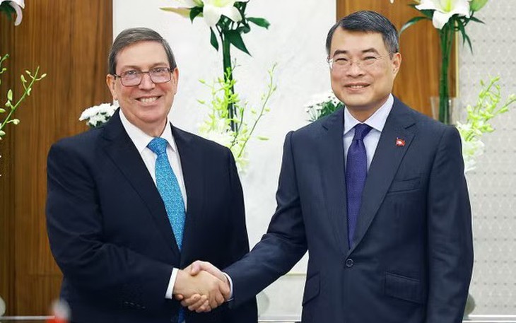 BRICS - Ảnh 1.