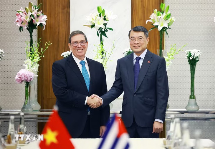 Thủ tướng Lê Minh Hưng: Việt Nam sẵn sàng làm hết sức mình trong khả năng để hỗ trợ Cuba