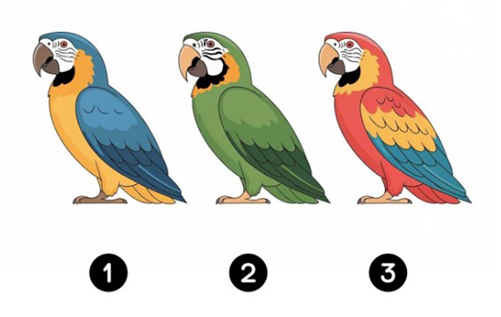 Quiz: Điều gì mang lại niềm vui thật sự cho bạn? - Ảnh 1.