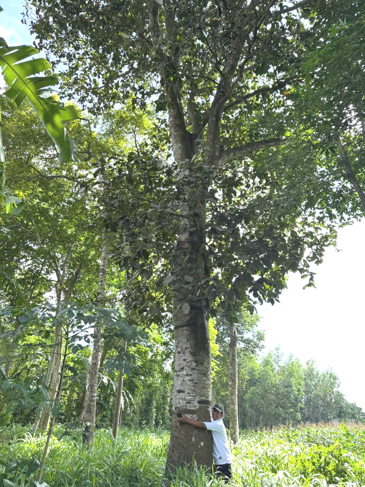 Mùa mít nài chín cùng những ngày đẹp nhất của tuổi thơ - Ảnh 2.